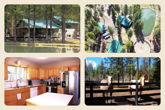 horse farm for sale