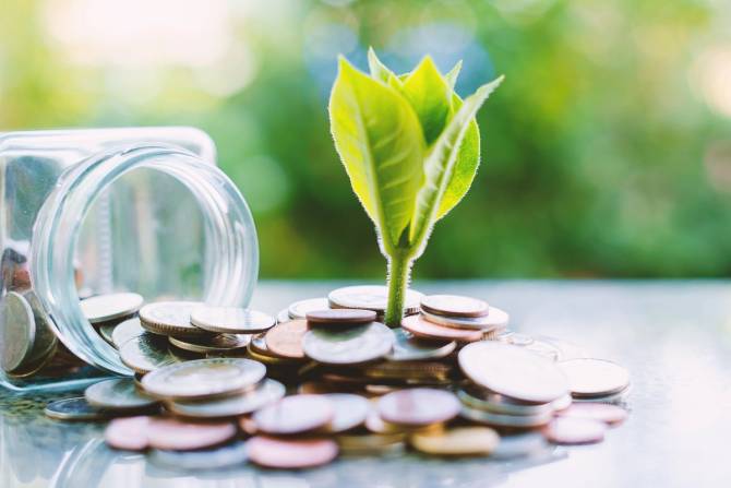 A plant growing out of coins