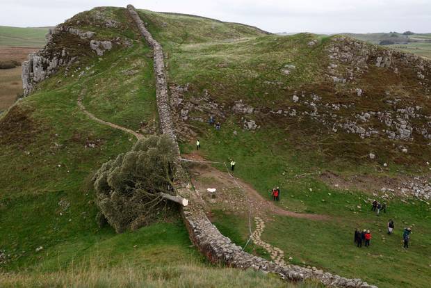 'Sycamore Gap' tree on Hadrian's Wall now lies on the ground, leaving behind only a stump in the spot it once proudly stood.