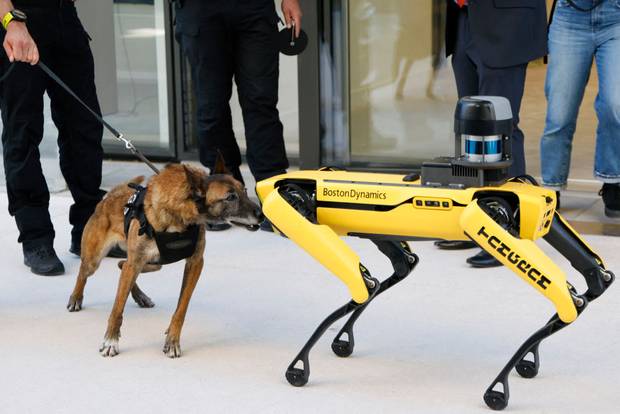 This photograph shows a police dog from the RAID french national police unit specialized in the search of explosives inspects a Boston dynamics dog robot
