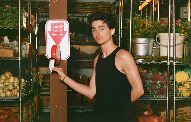 Timothée Chalamet poses in a grocery store set