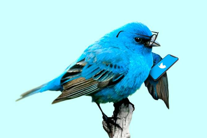 An illustration of a blue bird wearing glasses and holding in its left wing a mobile phone with the screen displaying the Twitter logo. 