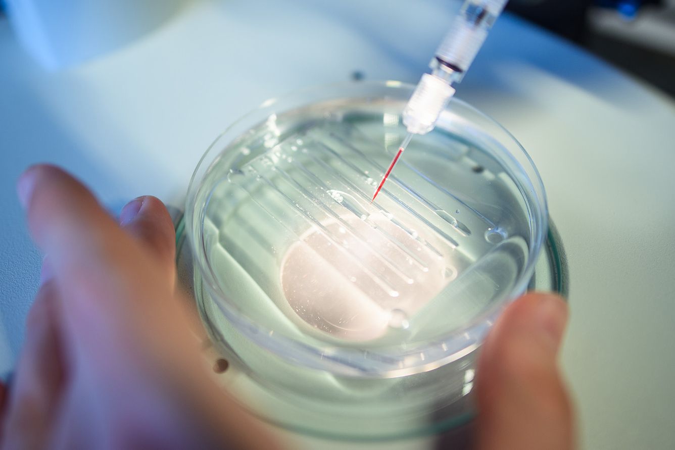 A researcher performs a CRISPR/Cas9 process at the Max-Delbrueck-Centre for Molecular Medicine in 2018.