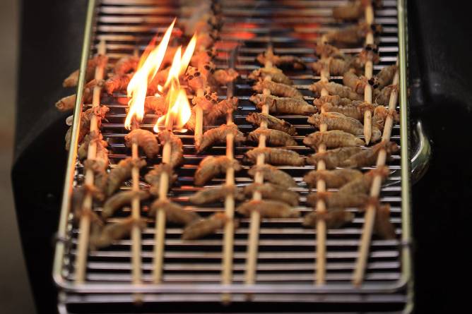 Photo of cicadas on a grill