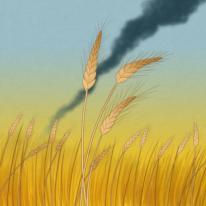 A wheat stalk with smoke in the background