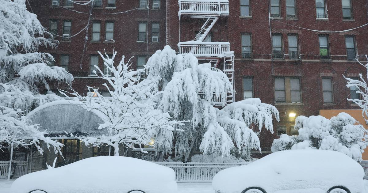 February in the C-Suite, from NY to DOD
