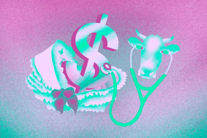 A cow uses a stethoscope on a dollar sign in a pink and green graphic