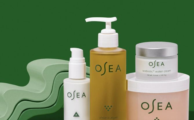 Osea skincare products