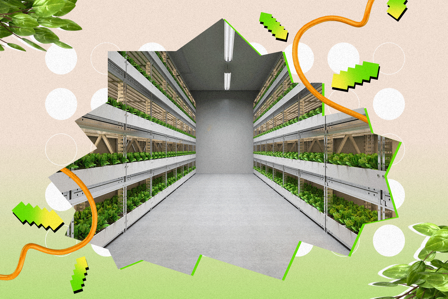 Vertical farms have the vision, but do they have the energy?