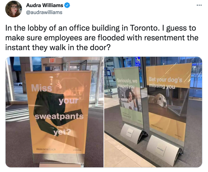 A screenshot of a Tweet featuring photograph's of the controversial 