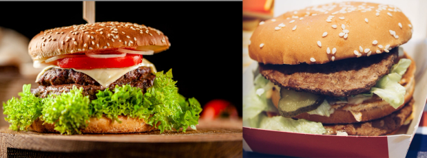 Expectation vs reality burger