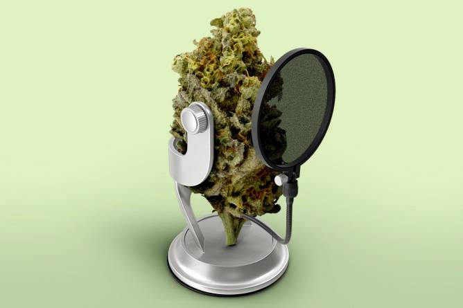 An image of weed on a microphone