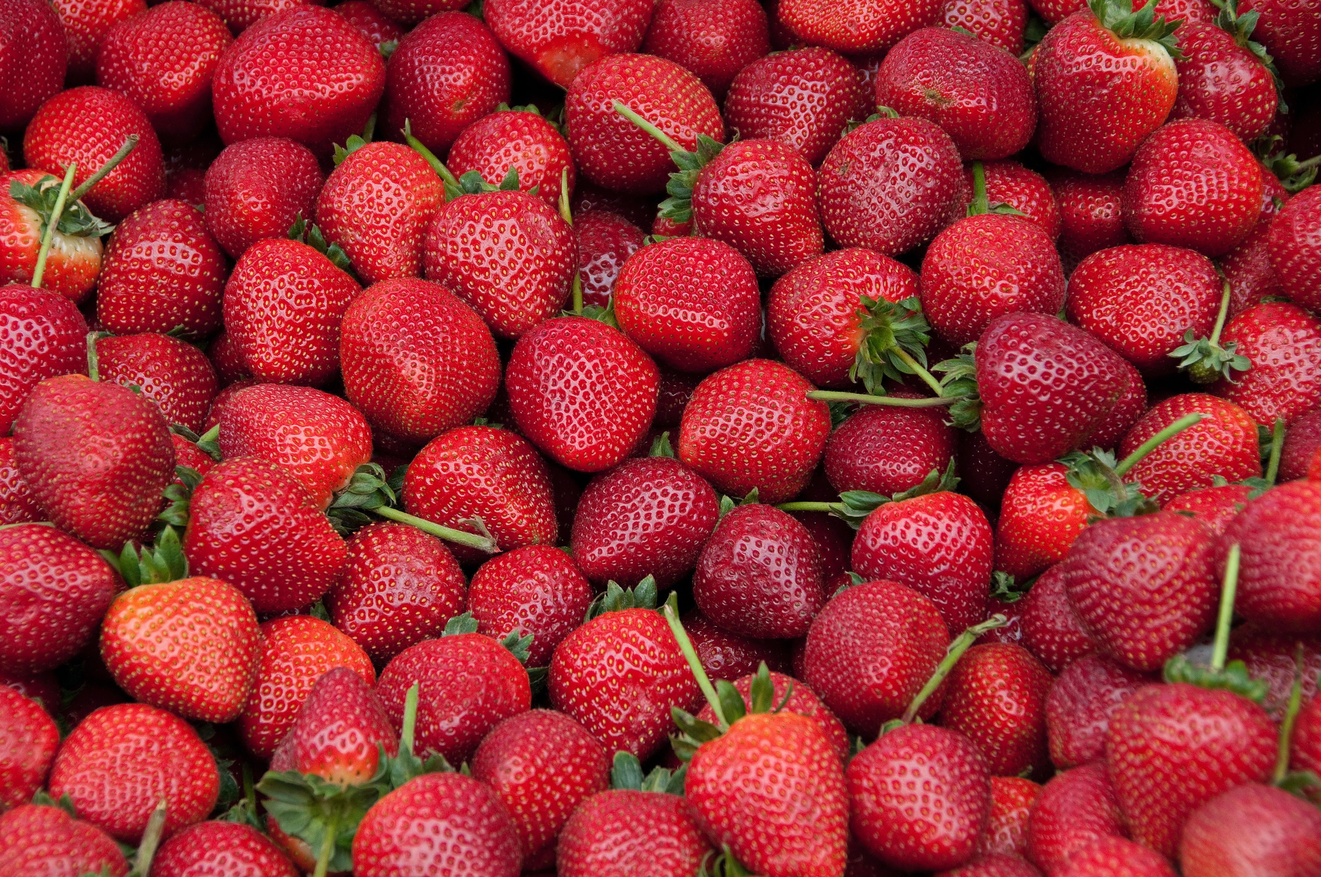 close up of a bunch of strawberries