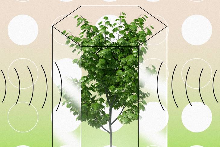 One of the fastest forms of 5G is disrupted by trees