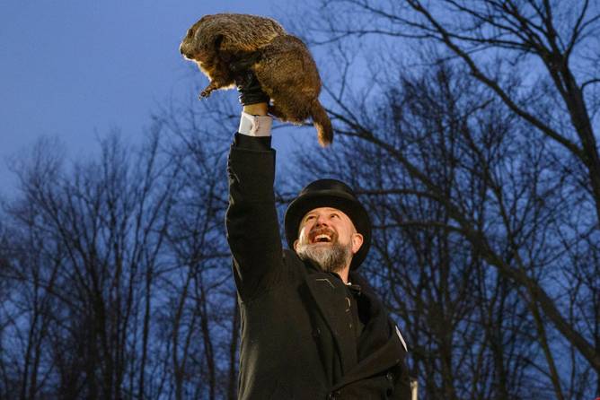 Punxsutawney Phil