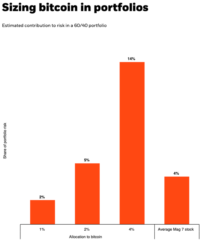 Portfolio risk of bitcoin holdings