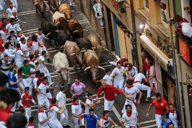 Running of the bulls 