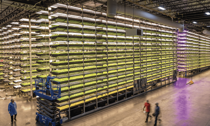 A primer on vertical farming, which is growing like a weed