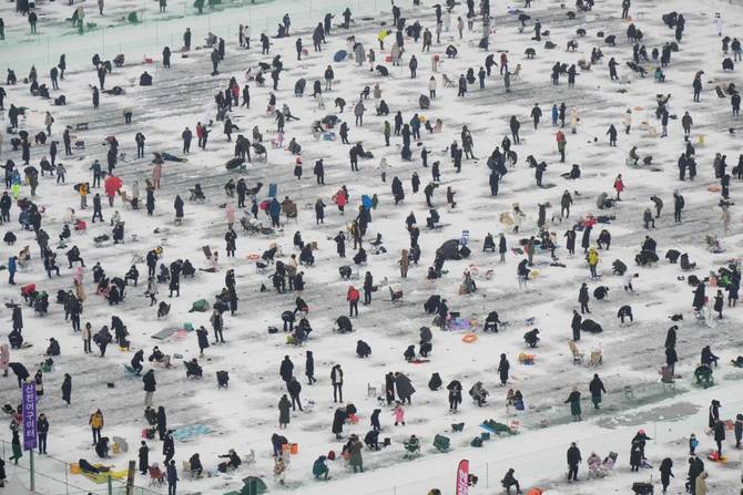 Anglers cast lines through holes on a frozen river during the annual ice fishing festival in Hwacheon