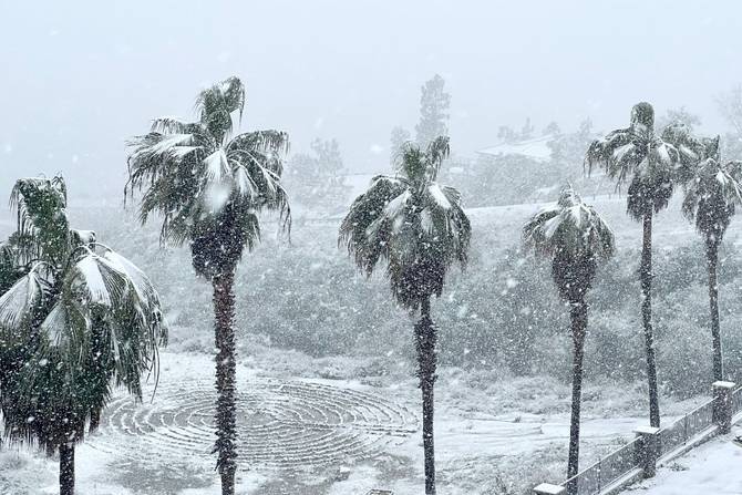 Heavy snow covers a line of palm trees near a home in Rancho Cucamonga, California.