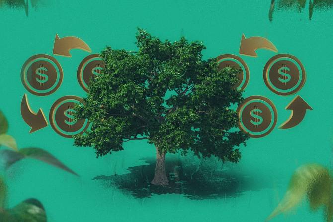 Green investing blossoms with tax incentives