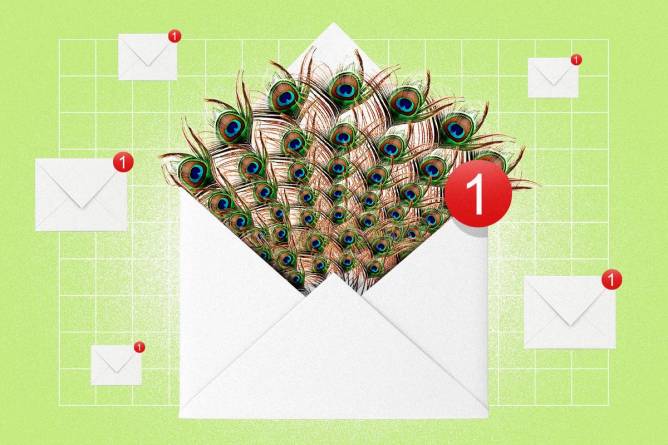 Peacock feathers coming out of an email envelope 