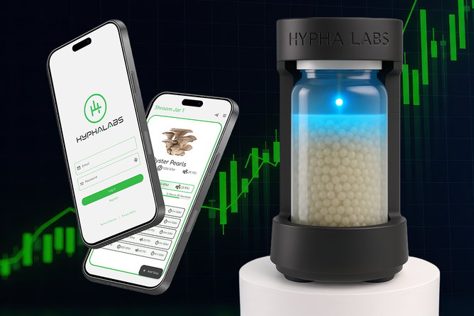 Hypha Labs