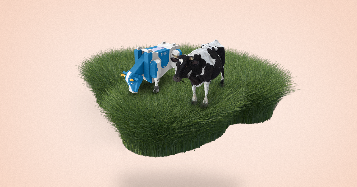 Real cow and mechanical cow on a patch of grass. 
