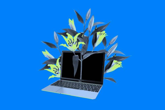 Flowers growing out of a computer.