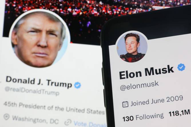 Donald Trump and Elon Musk's X profiles