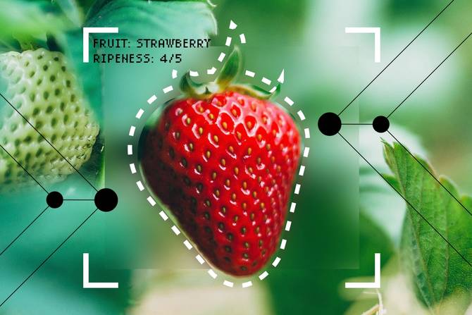 image of a strawberry being analyzed by AI system