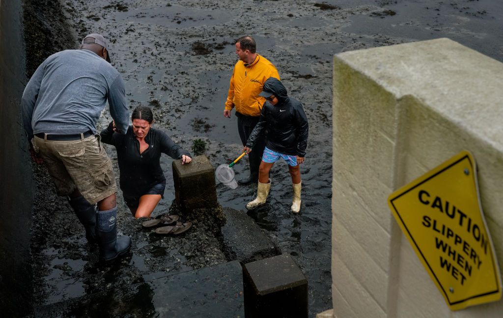 Hurricane Ian Pummels Florida