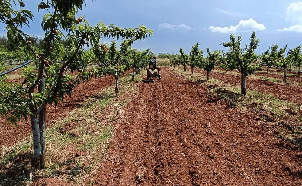 A tractor tills the soil on a farm.