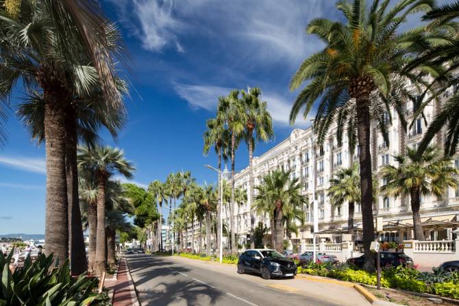  An image of Boulevard de la Croisette lined with palm trees 