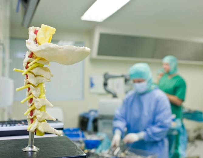 Model of a spine in an operating room