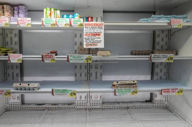 Empty egg isle at a grocery store