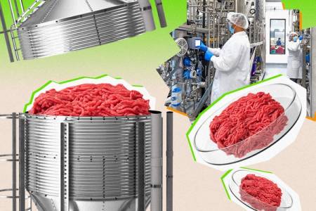 This startup wants to invent brand new forms of meat