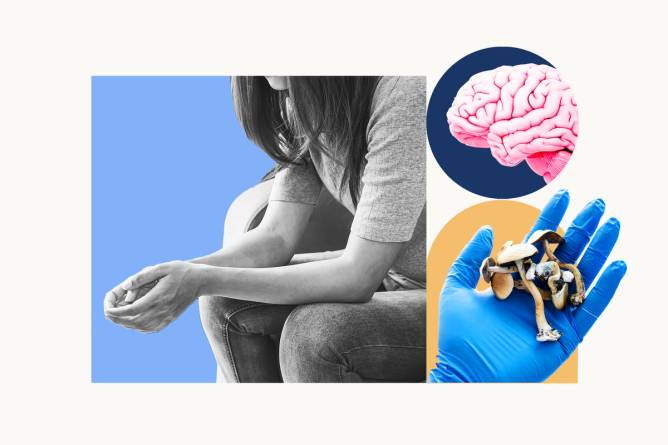 person with hands in their lap on left, brain and a hand holding mushrooms on right