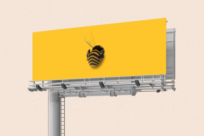 Large bumble bee stuck on yellow billboard