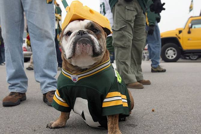 A dog wearing a Packers jersey and a cheesehead sits outside of Lambeau field
