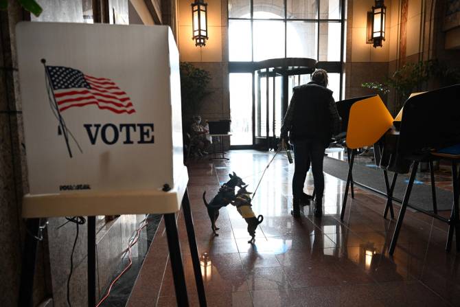 Two small dogs cuddle while a person votes in the US.