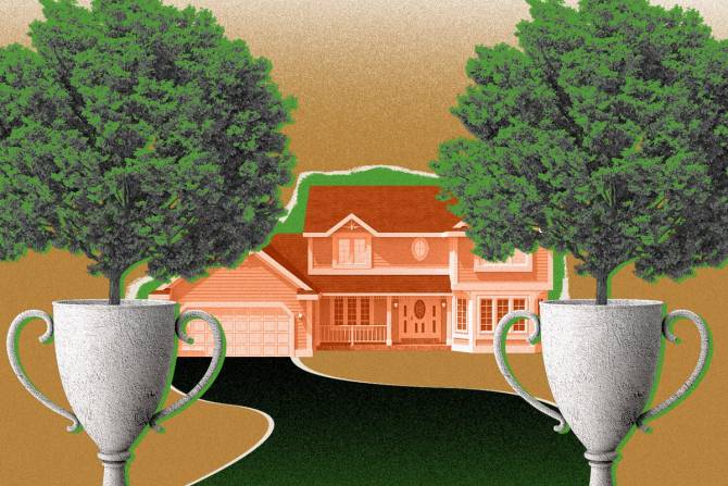 For America’s wealthy, trophy trees are the latest status symbol