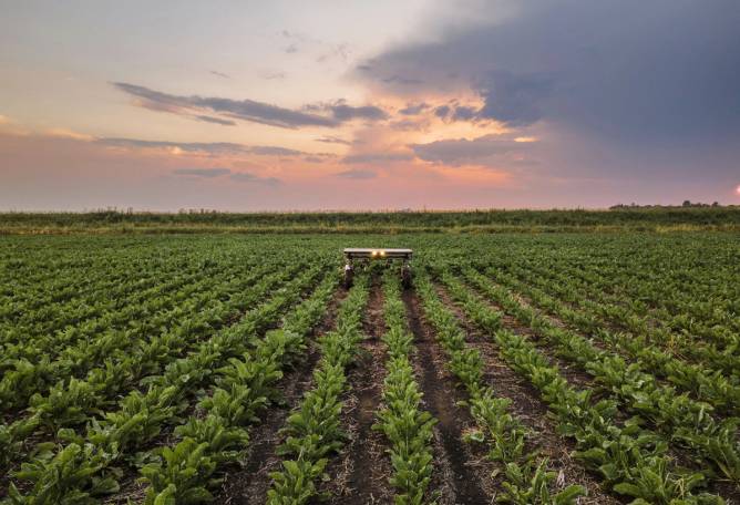 Aigen's Model Element robot weeds a field in Fargo, North Dakota.