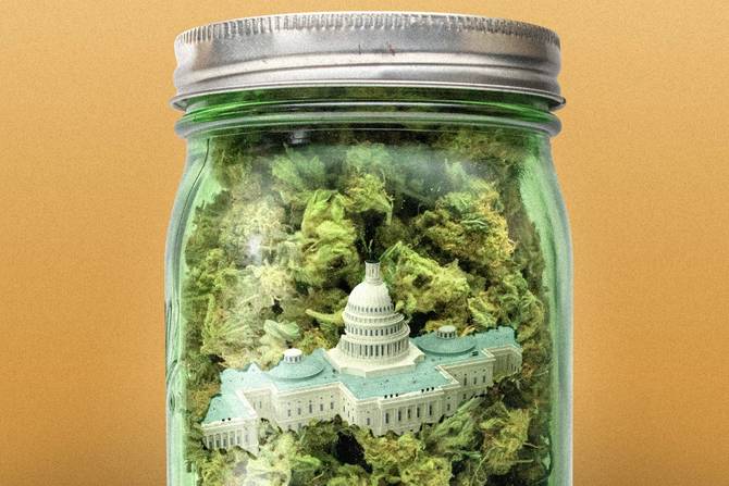 A jar of cannabis and Capitol Hill