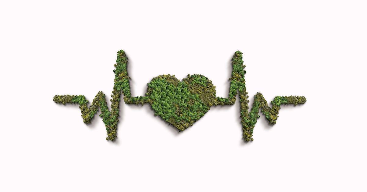 Health Care Without Harm trend report suggests sustainability is still important to hospital leaders Health Care Without Harm trend report suggests sustainability is still important to hospital leaders