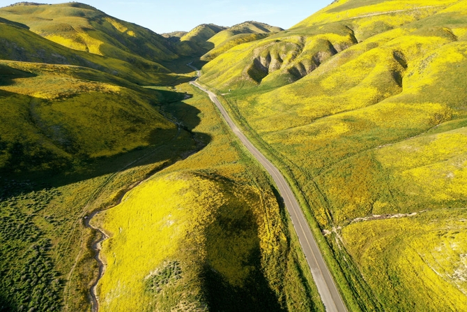 An aerial view of wildflowers blooming near Carrizo Plain National Monument following an unusually wet winter on April 13, 2023 near Santa Margarita, California.