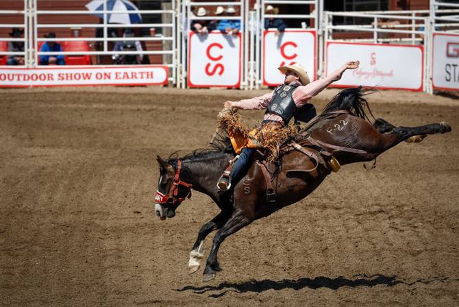 Brody Cress from Hillsdale, Wyoming rides Friday Glory during the Saddle Broinc Championship at the Calgary Stampede