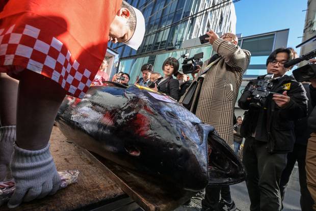 Bluefin tuna auction in Tokyo