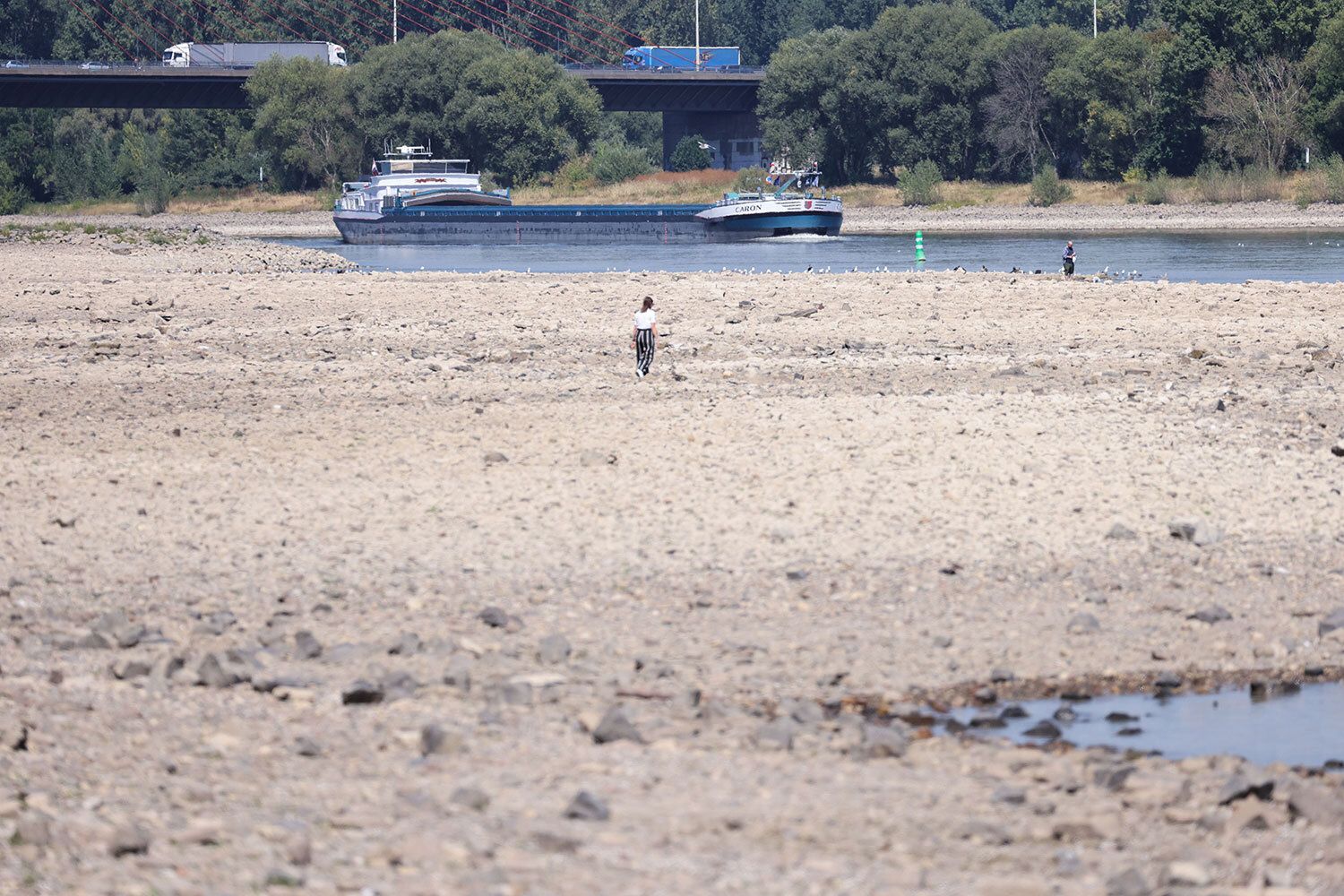 Europe’s supply chain, agriculture struggle as rivers dry up