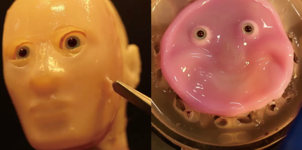 Researchers created a 3D facial mold and a 2D robot covered with lab-grown living skin.